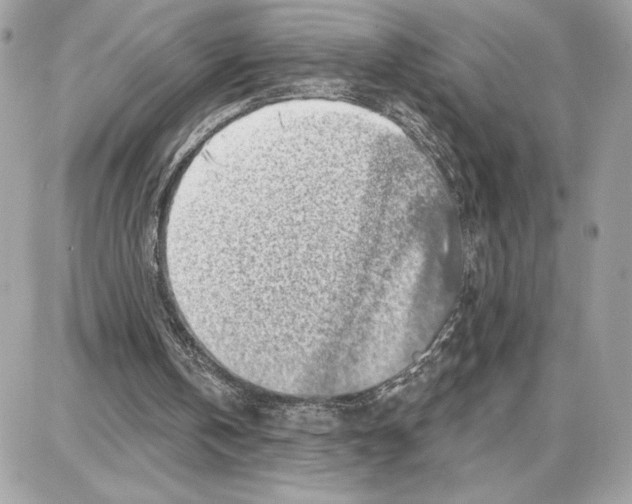 X0000087680146200706011703