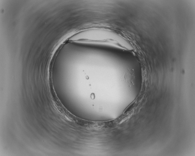 X0000087680148200706011703