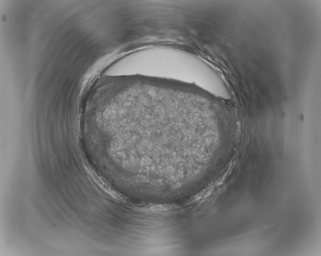 X0000087680149200706011703