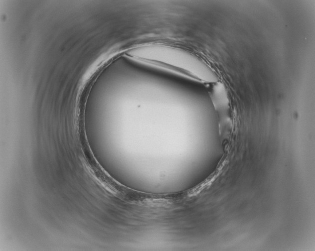 X0000087680150200706011703