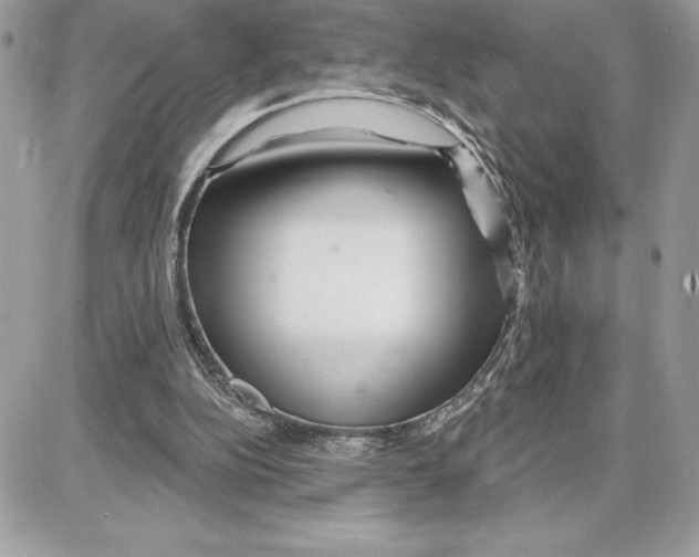 X0000087680152200706011703