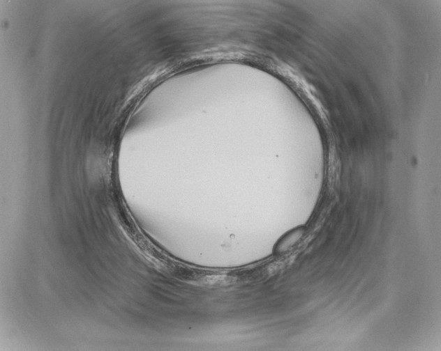 X0000087680153200706011703