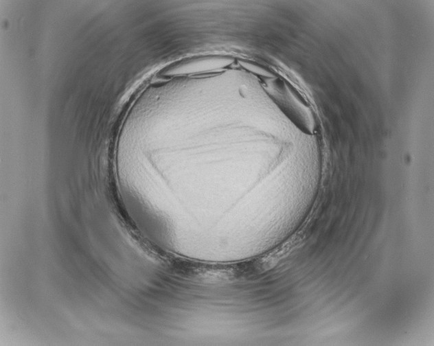 X0000087680155200706011703