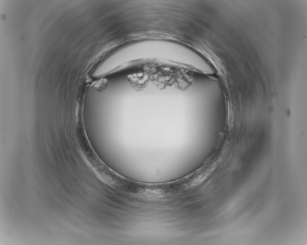 X0000087680157200706011703