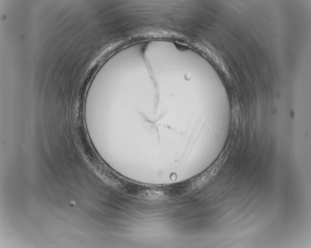 X0000087680159200706011703