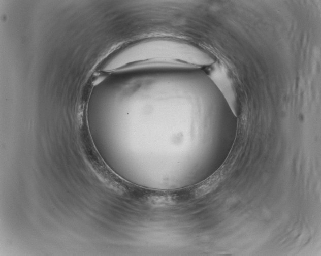 X0000087680160200706011703