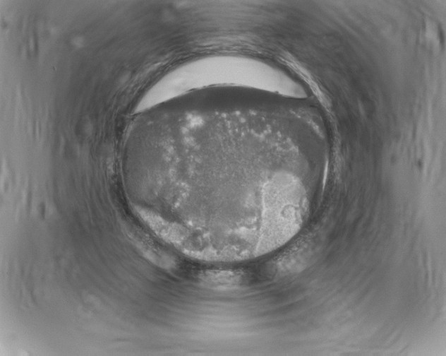 X0000087680161200706011703