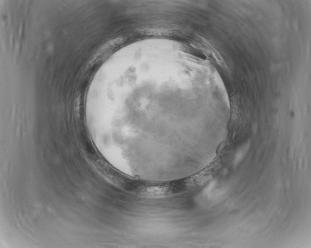 X0000087680163200706011703