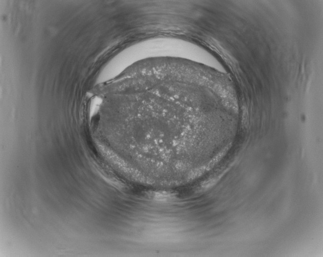 X0000087680165200706011703