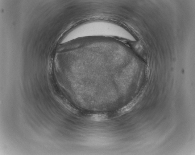 X0000087680168200706011703