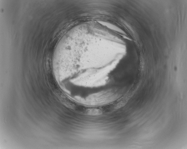 X0000087680169200706011703