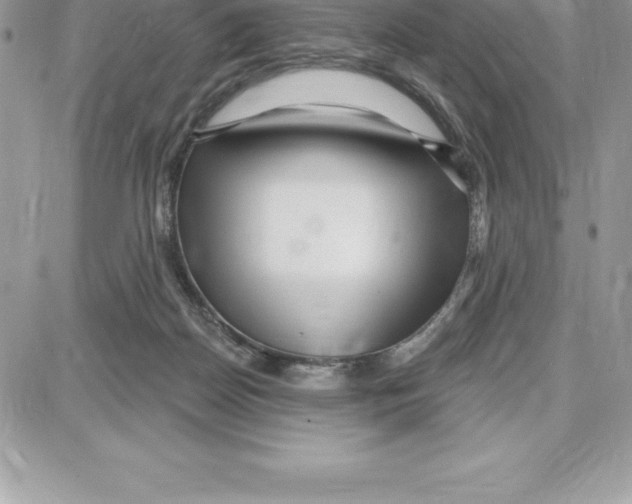 X0000087680170200706011703