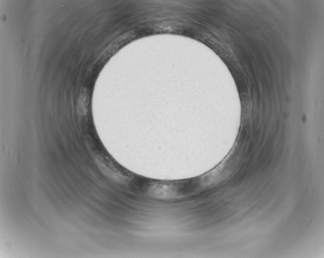 X0000087680174200706011703