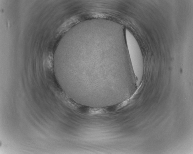 X0000087680175200706011703