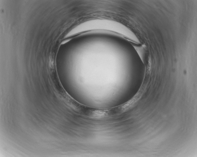 X0000087680176200706011703