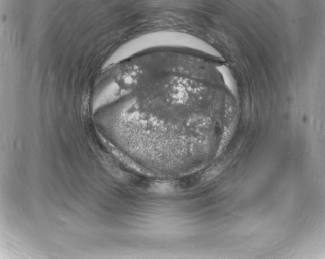 X0000087680177200706011703