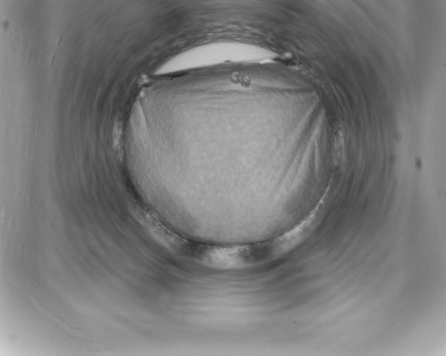 X0000087680178200706011703