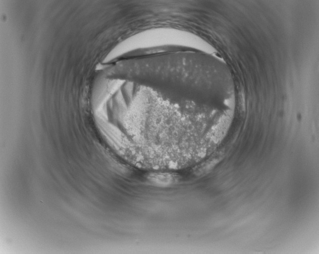 X0000087680181200706011703