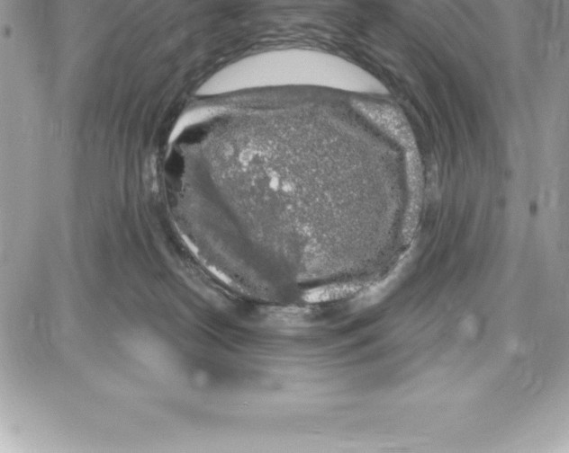 X0000087680182200706011703