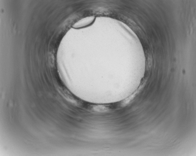 X0000087680183200706011703