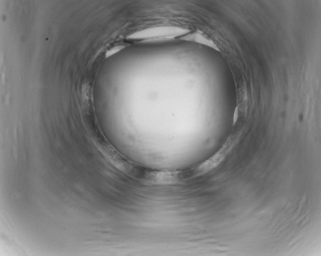 X0000087680184200706011703