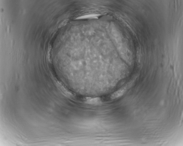 X0000087680185200706011703