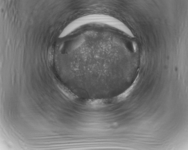 X0000087680186200706011703