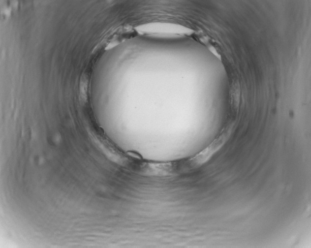 X0000087680188200706011703