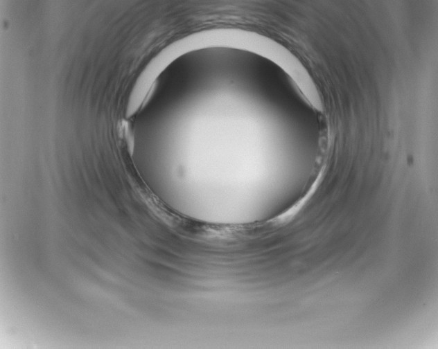 X0000087680190200706011703