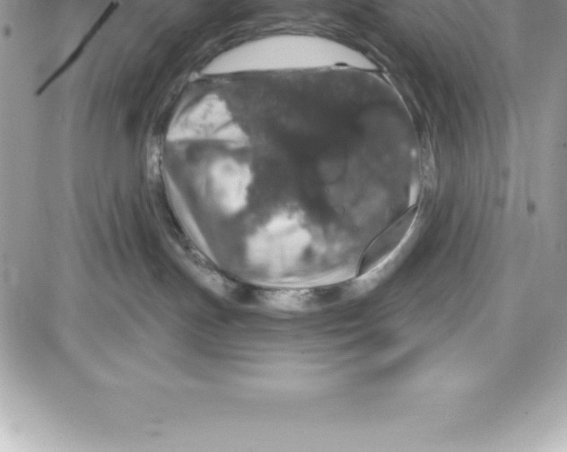 X0000087680191200706011703