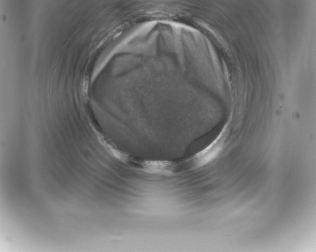 X0000087680192200706011703