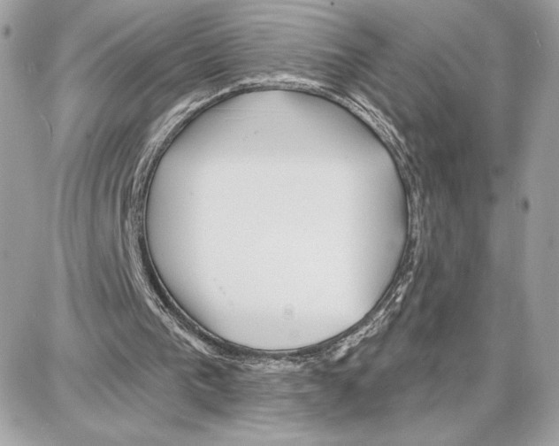 X0000087680193200706011703