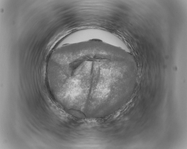 X0000087680194200706011703