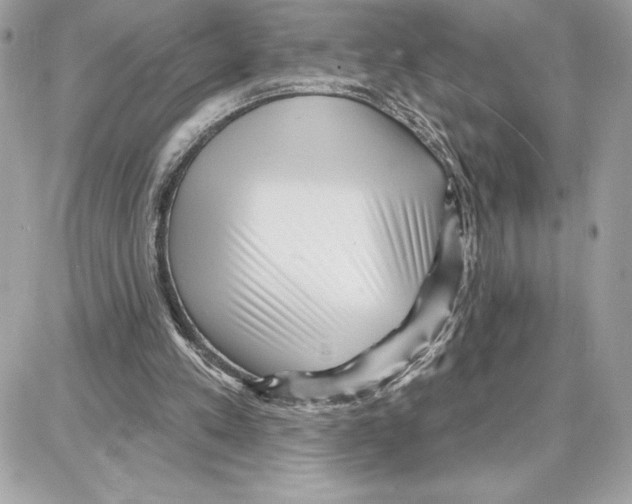 X0000087680197200706011702