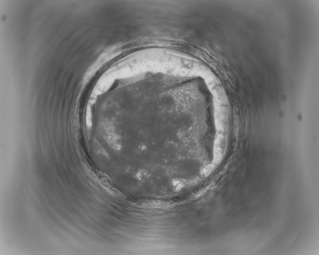 X0000087680198200706011702