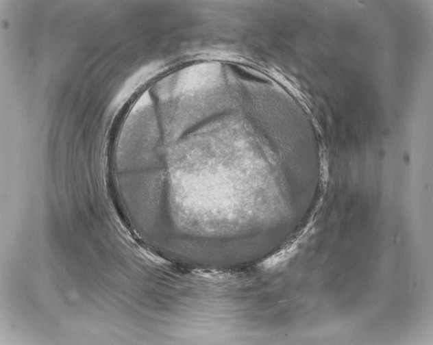 X0000087680199200706011702