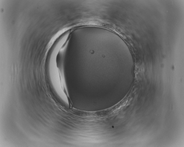 X0000087680200200706011702