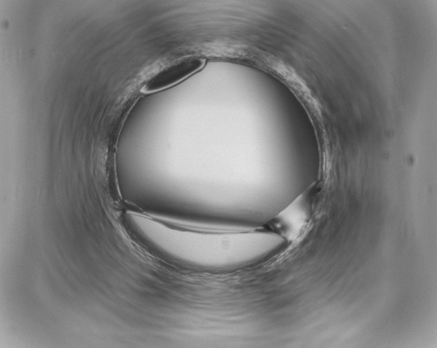 X0000087680201200706011702