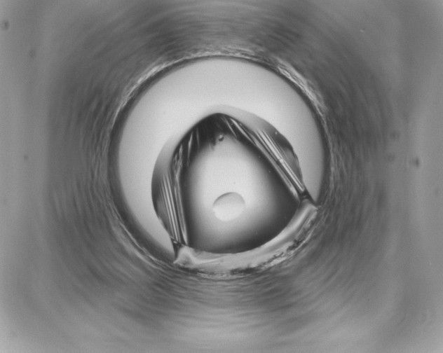 X0000087680203200706011702