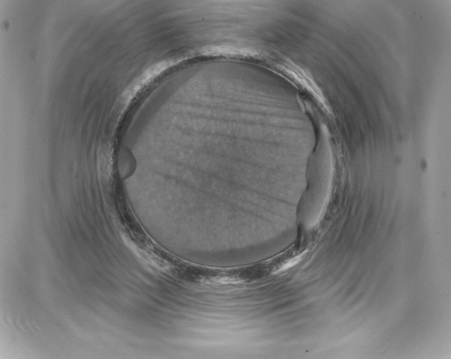 X0000087680204200706011702