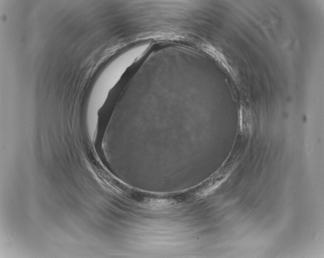 X0000087680205200706011702