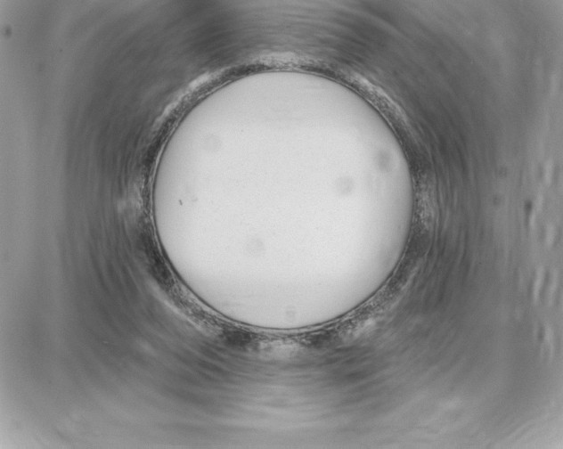 X0000087680208200706011702