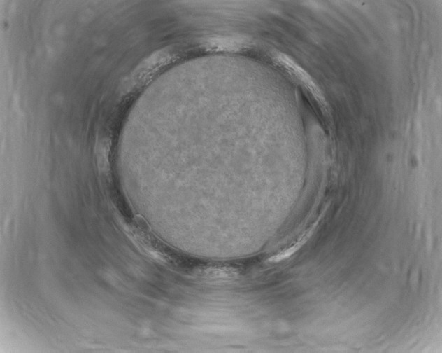 X0000087680209200706011702