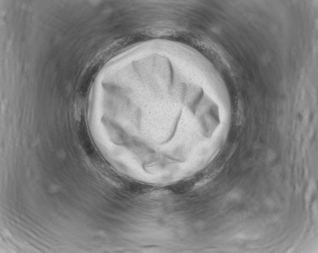 X0000087680210200706011702