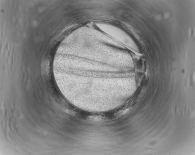 X0000087680211200706011702