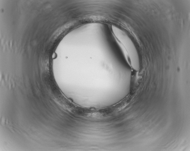 X0000087680212200706011702