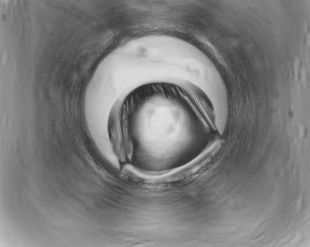 X0000087680213200706011702