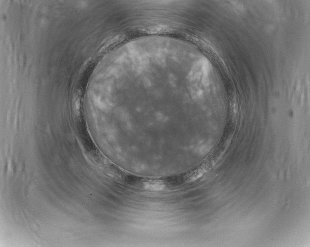 X0000087680214200706011702