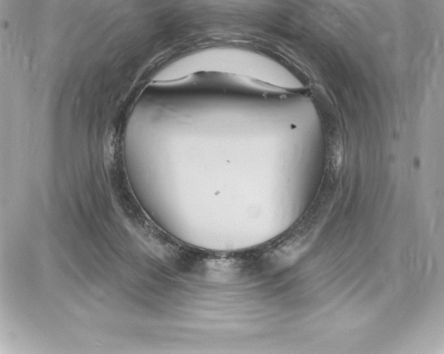 X0000087680216200706011702