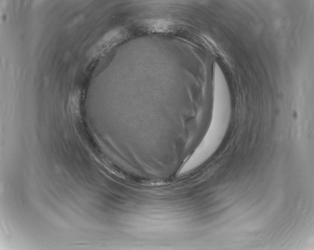 X0000087680217200706011702